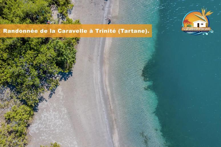F3 Hibiscus - Piscine Chauffee - Vue Mer - 9 Min De La Plage - Ti Zwezo Paradi La Trinite Εξωτερικό φωτογραφία