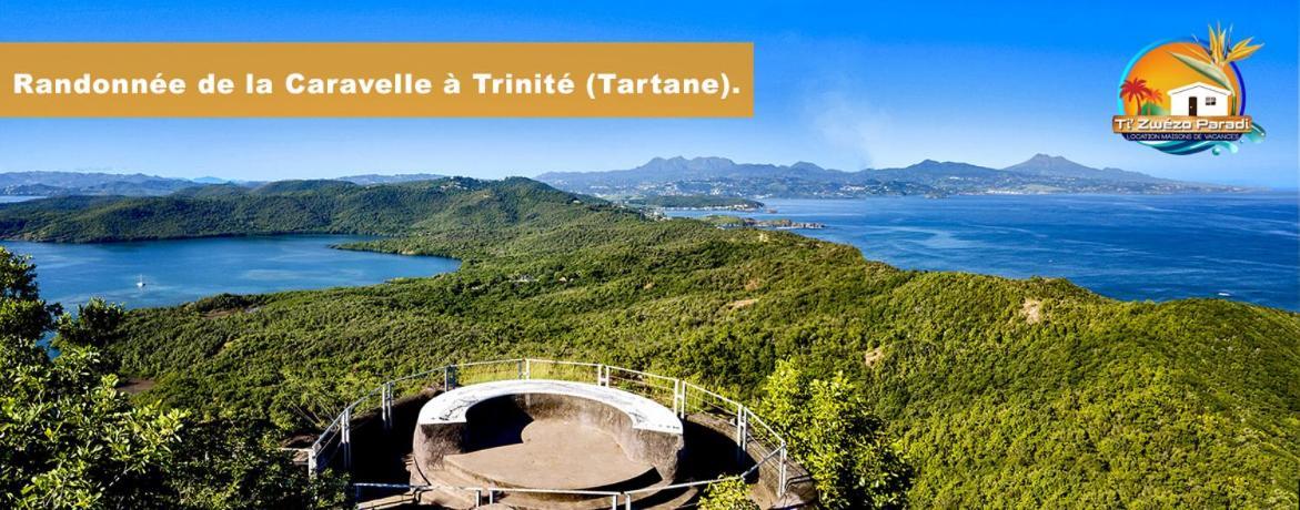 F3 Hibiscus - Piscine Chauffee - Vue Mer - 9 Min De La Plage - Ti Zwezo Paradi La Trinite Εξωτερικό φωτογραφία