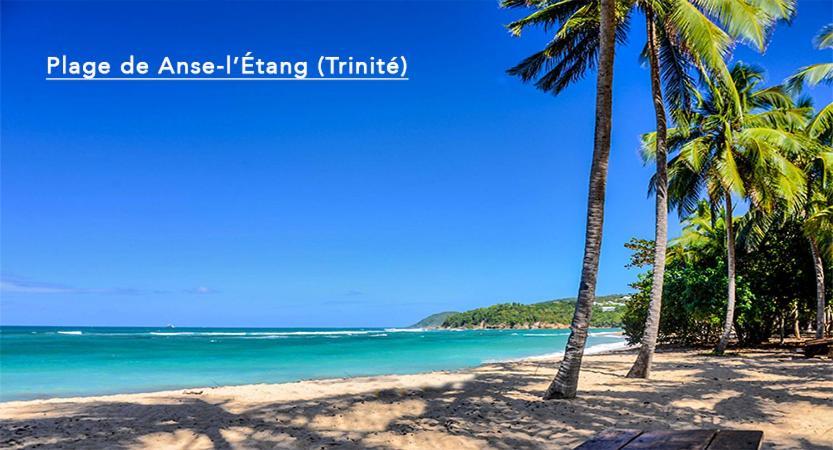 F3 Hibiscus - Piscine Chauffee - Vue Mer - 9 Min De La Plage - Ti Zwezo Paradi La Trinite Εξωτερικό φωτογραφία